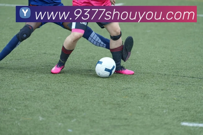 开云体育APP 封面图