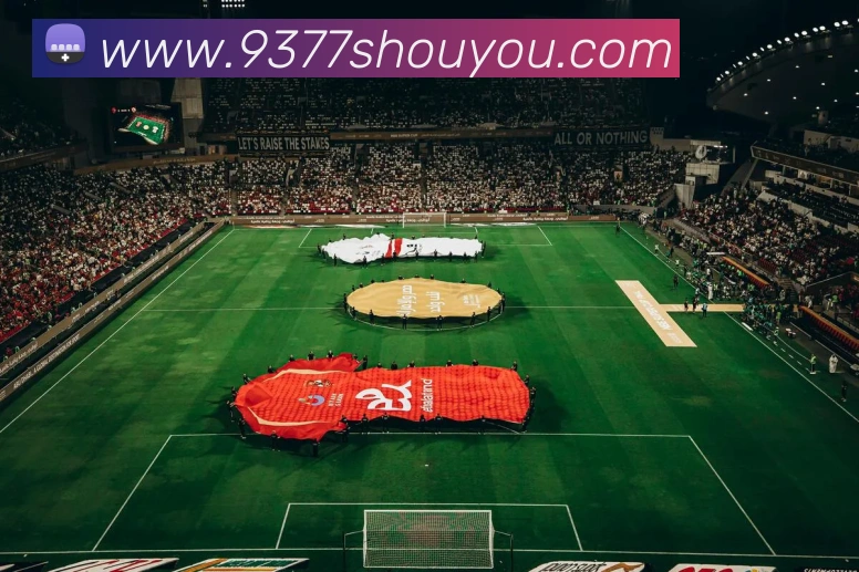 数据防护可视化